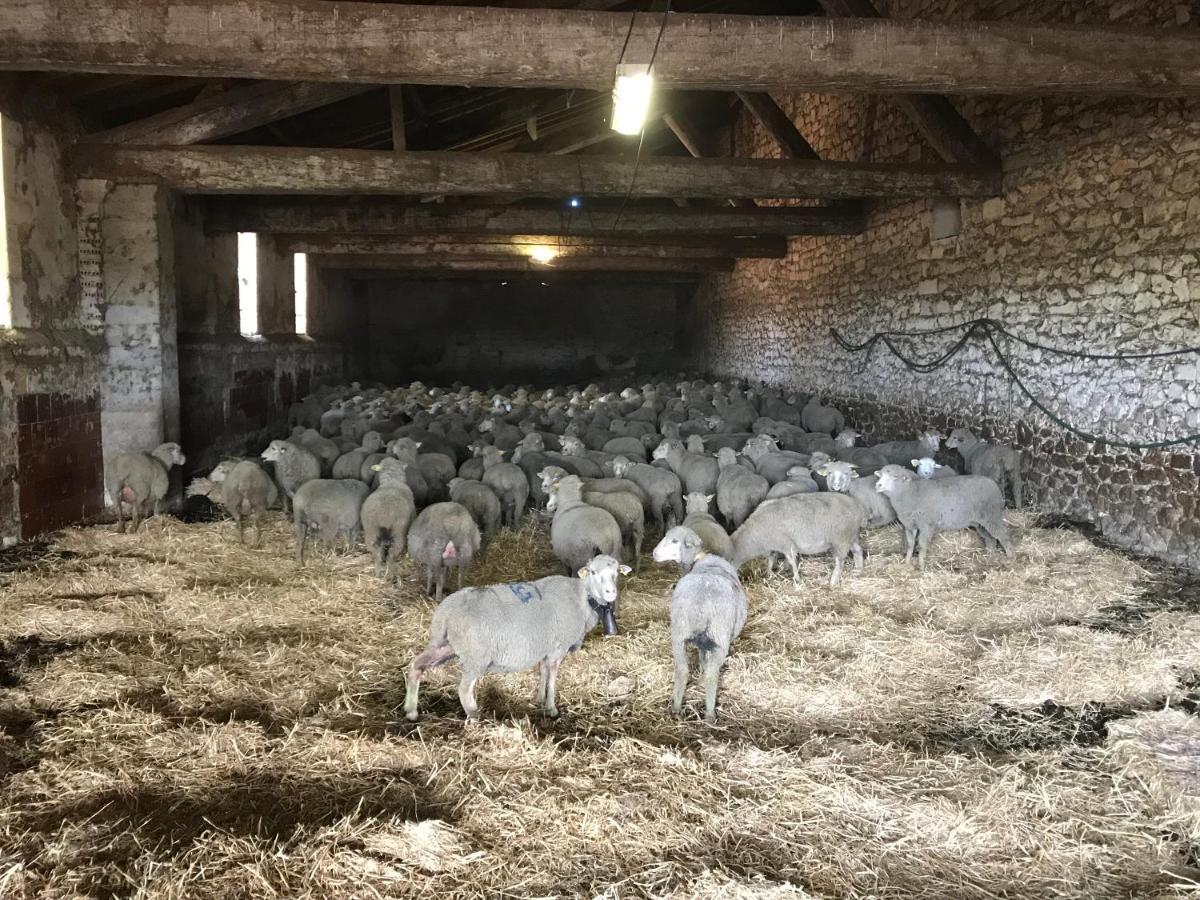 Studio A La Ferme Villa Arles Eksteriør billede